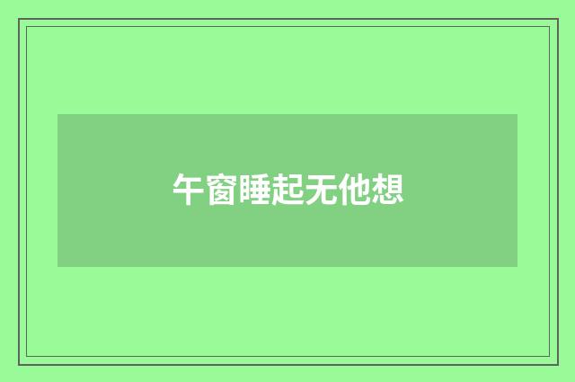 午窗睡起无他想