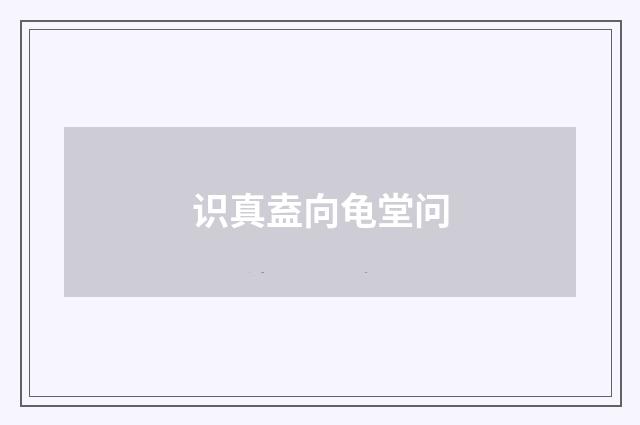 识真盍向龟堂问