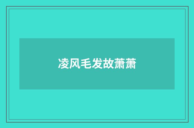 凌风毛发故萧萧