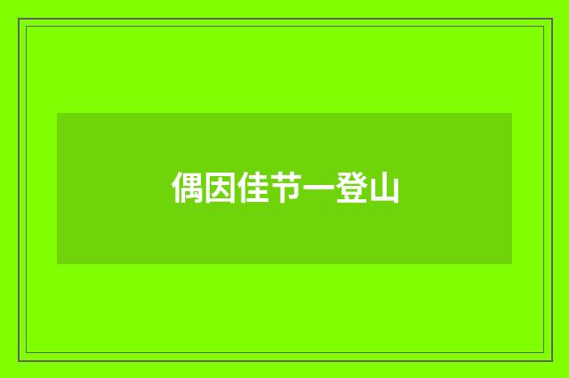 偶因佳节一登山