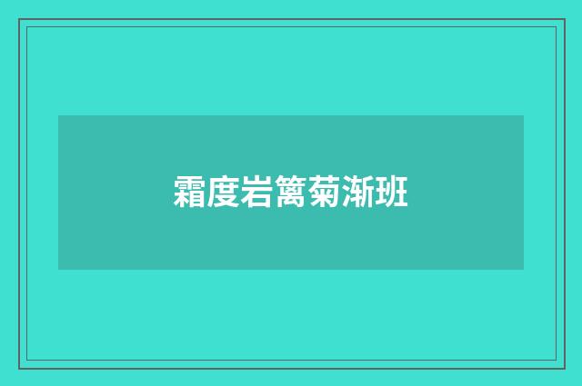 霜度岩篱菊渐班