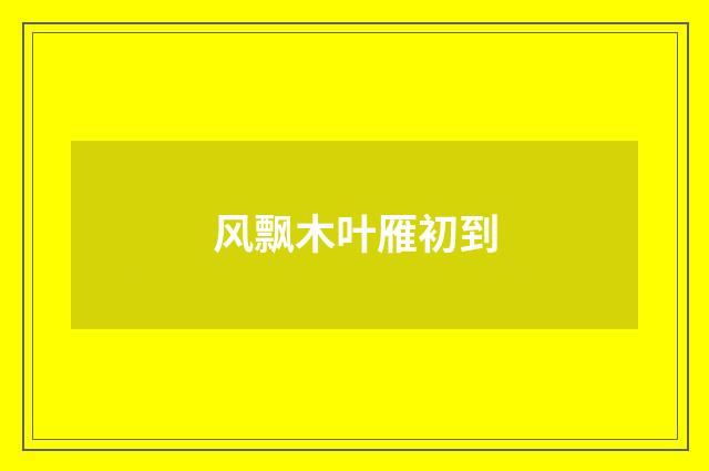 风飘木叶雁初到