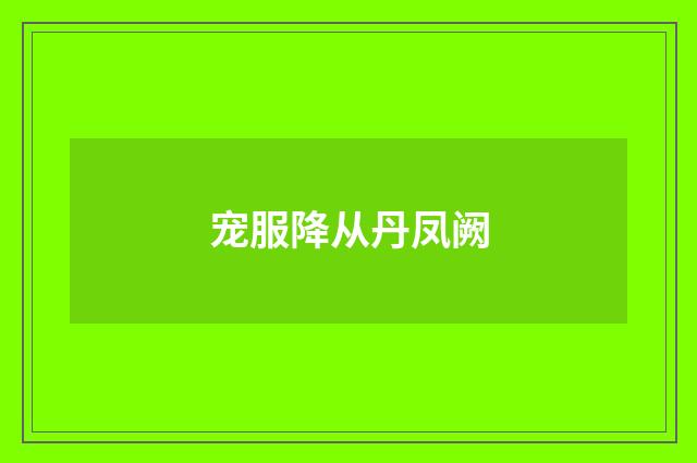 宠服降从丹凤阙