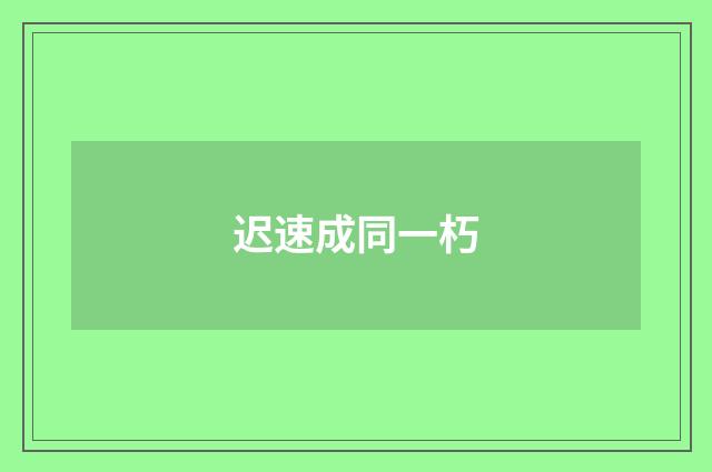 迟速成同一朽