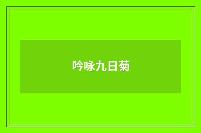 吟咏九日菊