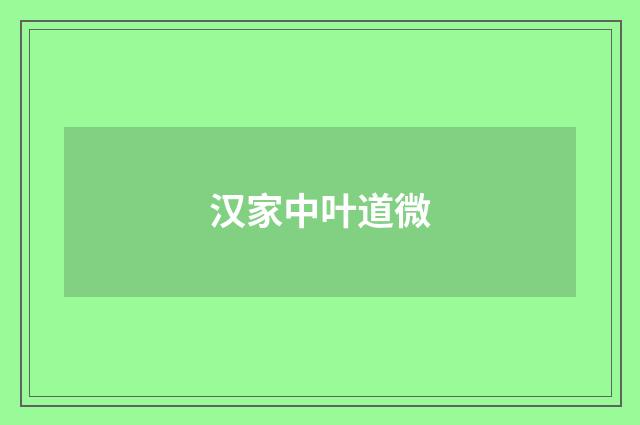 汉家中叶道微