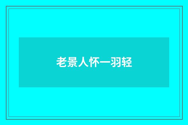 老景人怀一羽轻