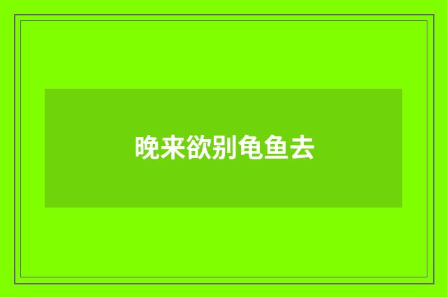 晚来欲别龟鱼去