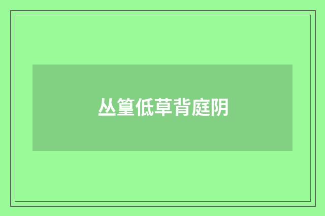 丛篁低草背庭阴