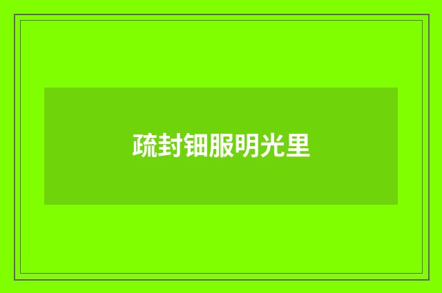 疏封钿服明光里
