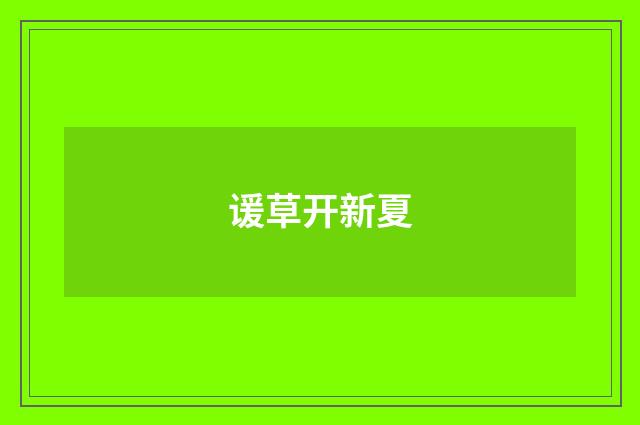 谖草开新夏