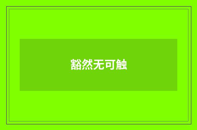 豁然无可触