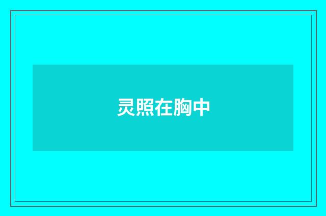 灵照在胸中