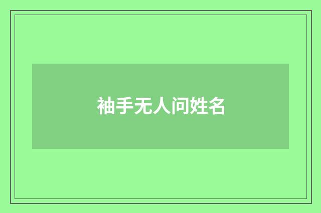 袖手无人问姓名