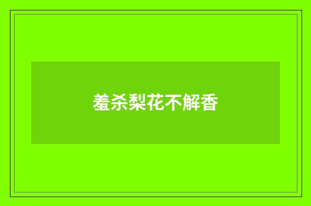 羞杀梨花不解香