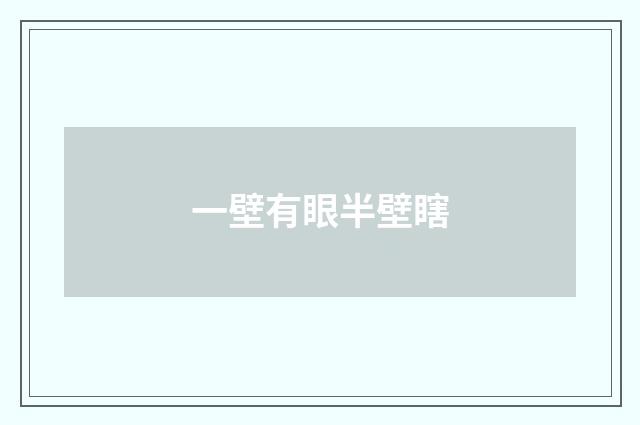 一壁有眼半壁瞎