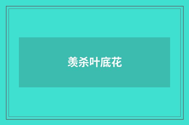 羡杀叶底花