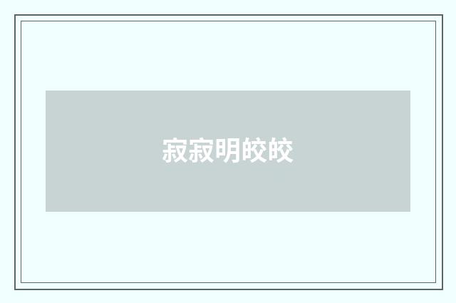 寂寂明皎皎