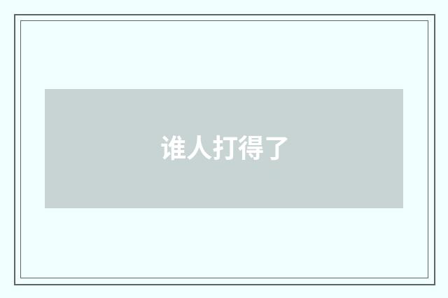 谁人打得了