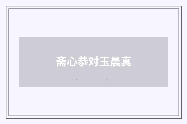 斋心恭对玉晨真