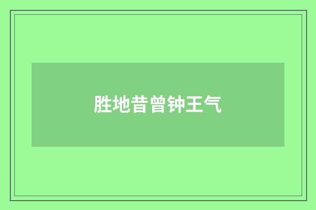 胜地昔曾钟王气