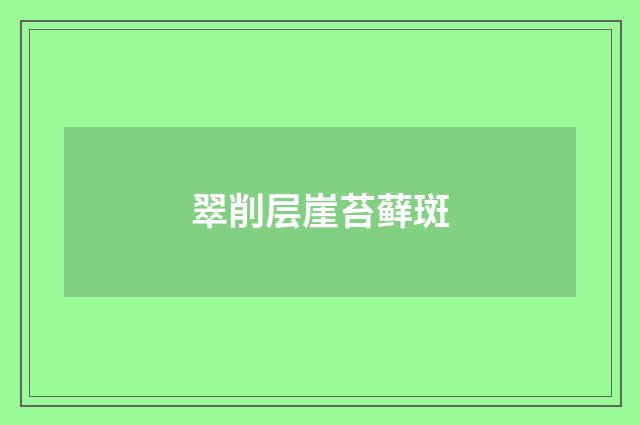翠削层崖苔藓斑