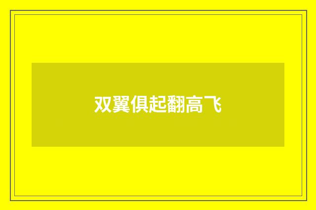 双翼俱起翻高飞