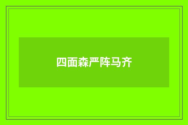 四面森严阵马齐