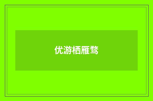优游栖雁骛