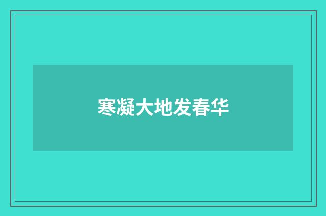寒凝大地发春华