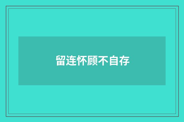 留连怀顾不自存