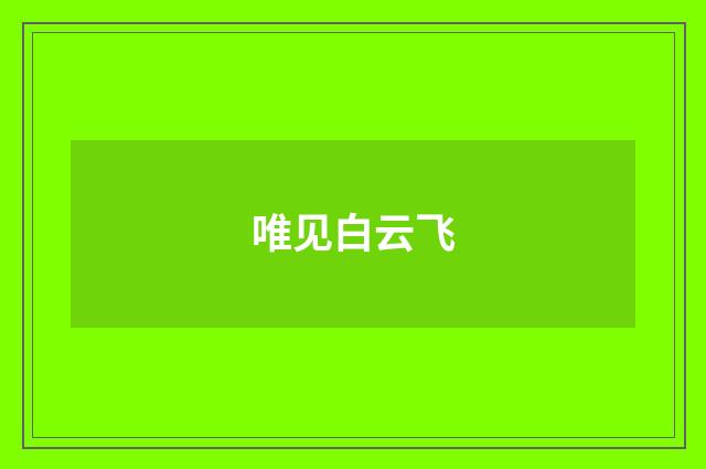 唯见白云飞