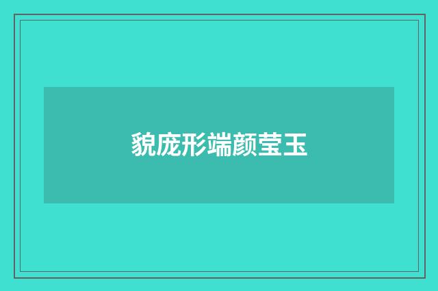 貌庞形端颜莹玉