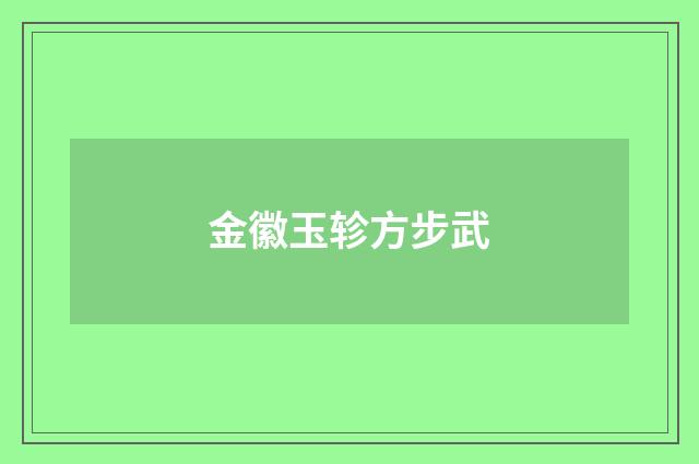 金徽玉轸方步武