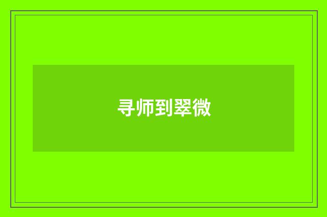 寻师到翠微
