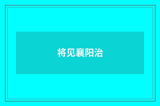 将见襄阳治