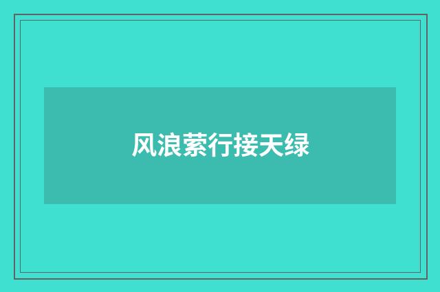 风浪萦行接天绿