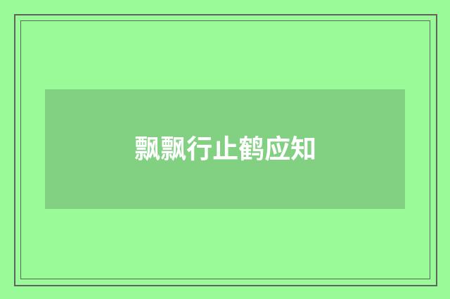 飘飘行止鹤应知