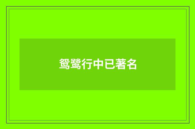 鸳鹭行中已著名