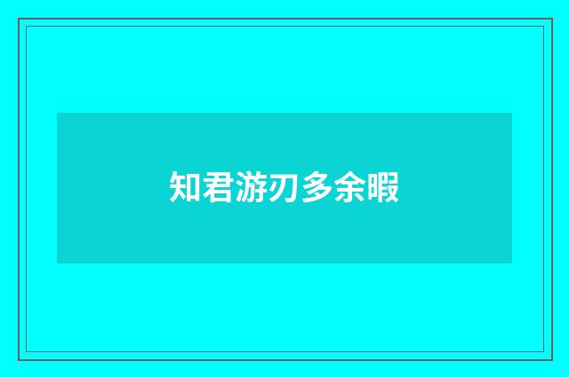 知君游刃多余暇