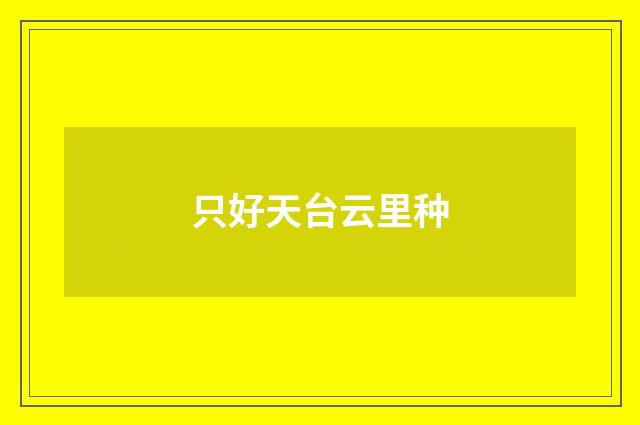 只好天台云里种