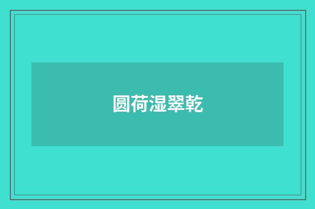 圆荷湿翠乾