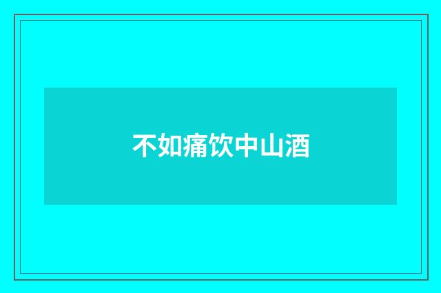 不如痛饮中山酒