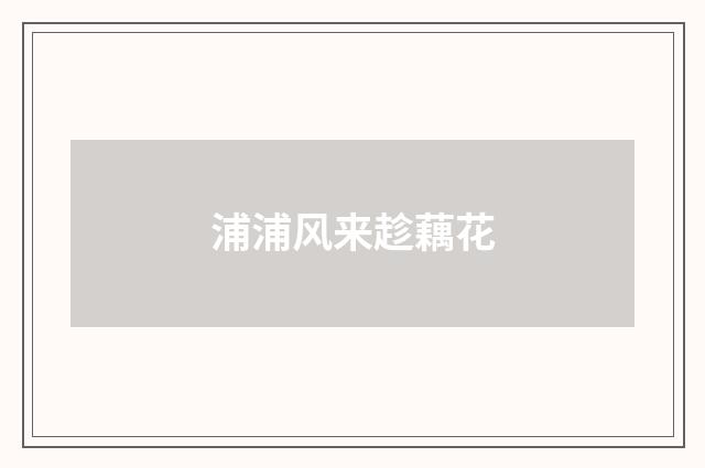 浦浦风来趁藕花