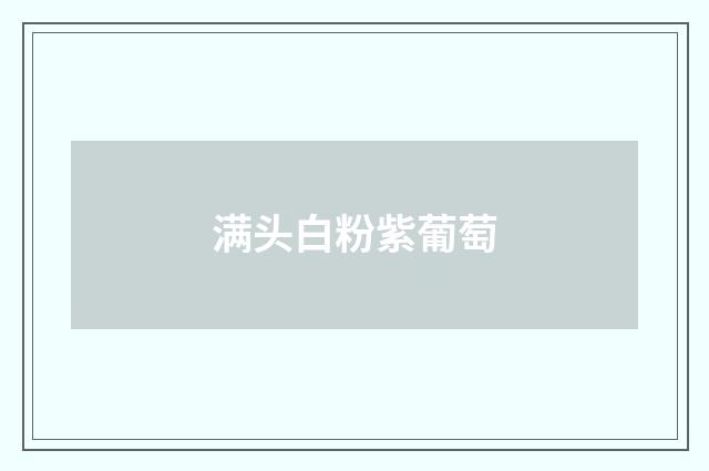满头白粉紫葡萄