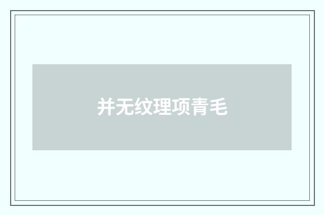 并无纹理项青毛