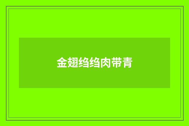 金翅绉绉肉带青