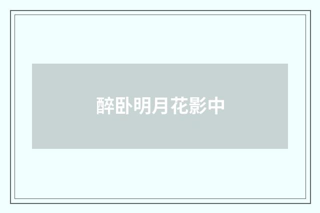 醉卧明月花影中