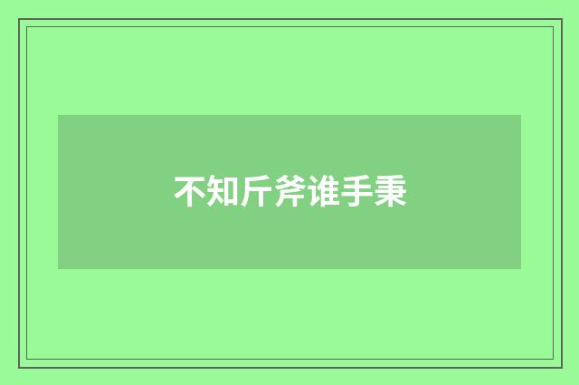 不知斤斧谁手秉