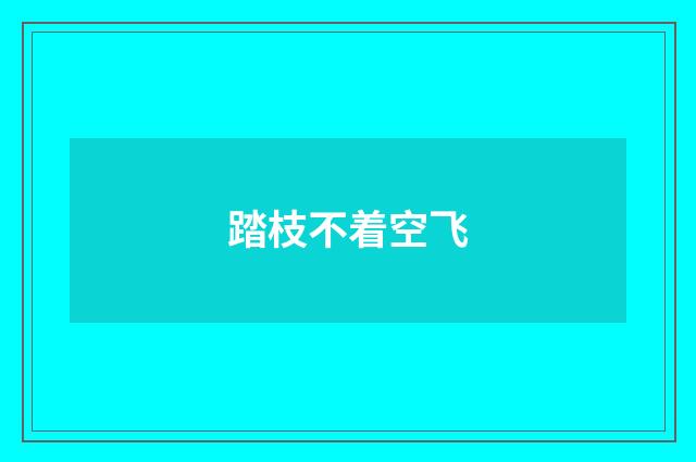 踏枝不着空飞
